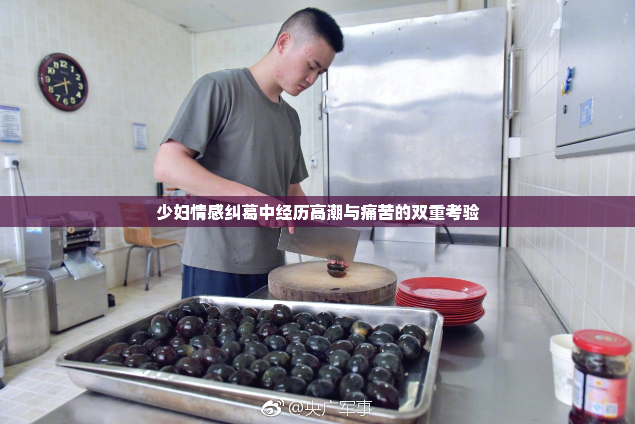 少妇情感纠葛中经历高潮与痛苦的双重考验