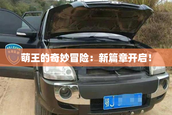 萌王的奇妙冒险：新篇章开启！