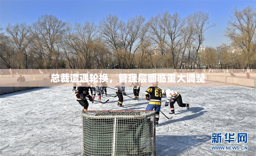 总裁遭遇轮换，管理层面临重大调整