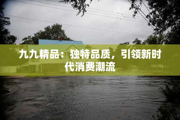 九九精品：独特品质，引领新时代消费潮流