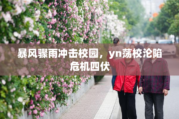暴风骤雨冲击校园，yn荡校沦陷危机四伏