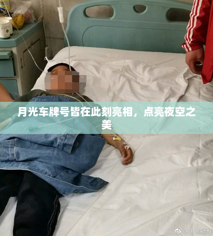 月光车牌号皆在此刻亮相，点亮夜空之美