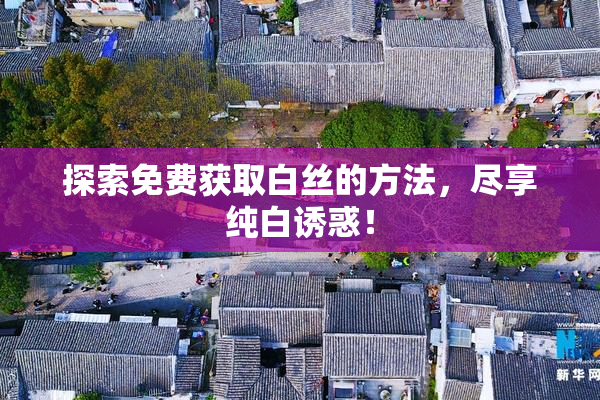 探索免费获取白丝的方法，尽享纯白诱惑！