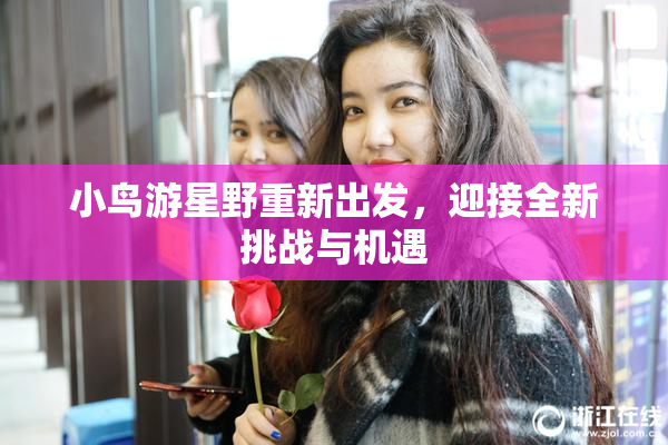 小鸟游星野重新出发，迎接全新挑战与机遇