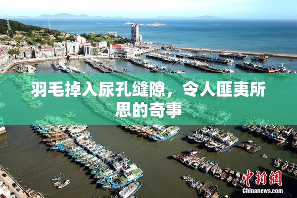 羽毛掉入尿孔缝隙，令人匪夷所思的奇事
