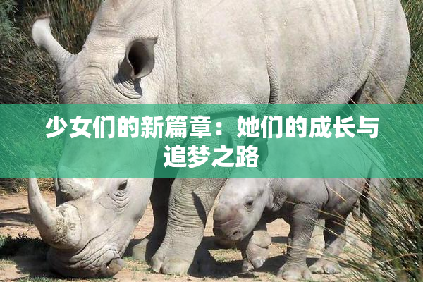 少女们的新篇章：她们的成长与追梦之路