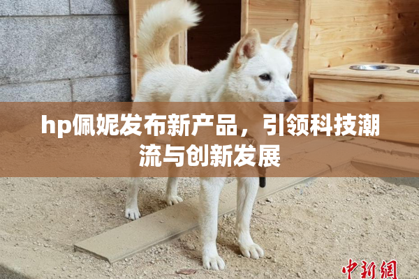 hp佩妮发布新产品，引领科技潮流与创新发展