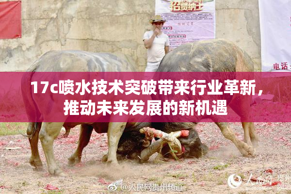 17c喷水技术突破带来行业革新，推动未来发展的新机遇