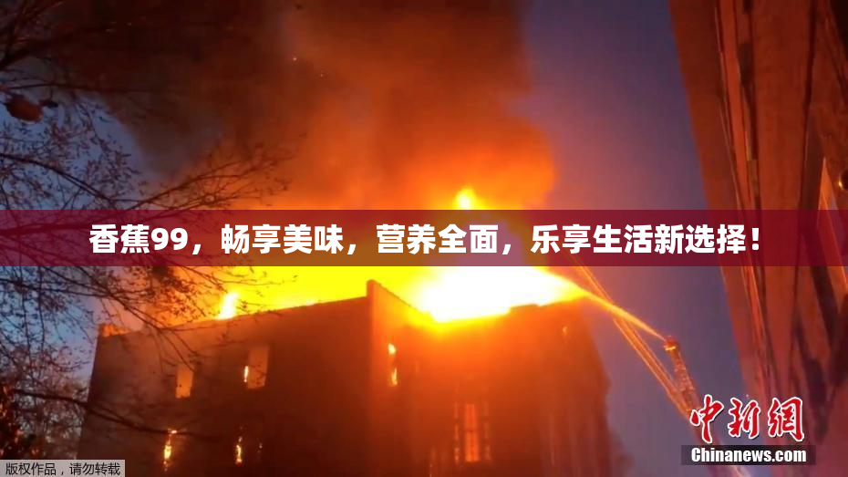 香蕉99，畅享美味，营养全面，乐享生活新选择！