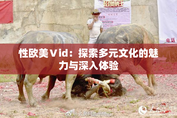 性欧美Ⅴid：探索多元文化的魅力与深入体验