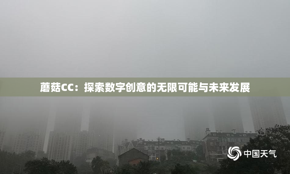 蘑菇CC：探索数字创意的无限可能与未来发展