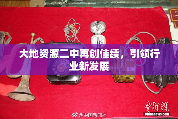 大地资源二中再创佳绩，引领行业新发展