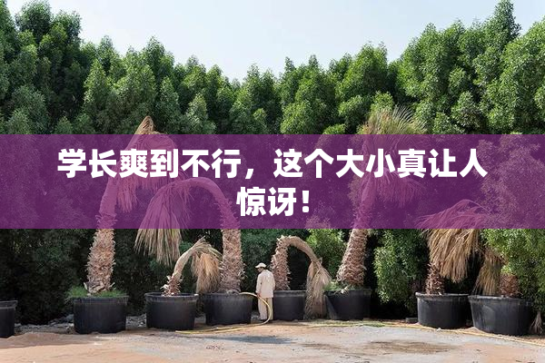 学长爽到不行，这个大小真让人惊讶！