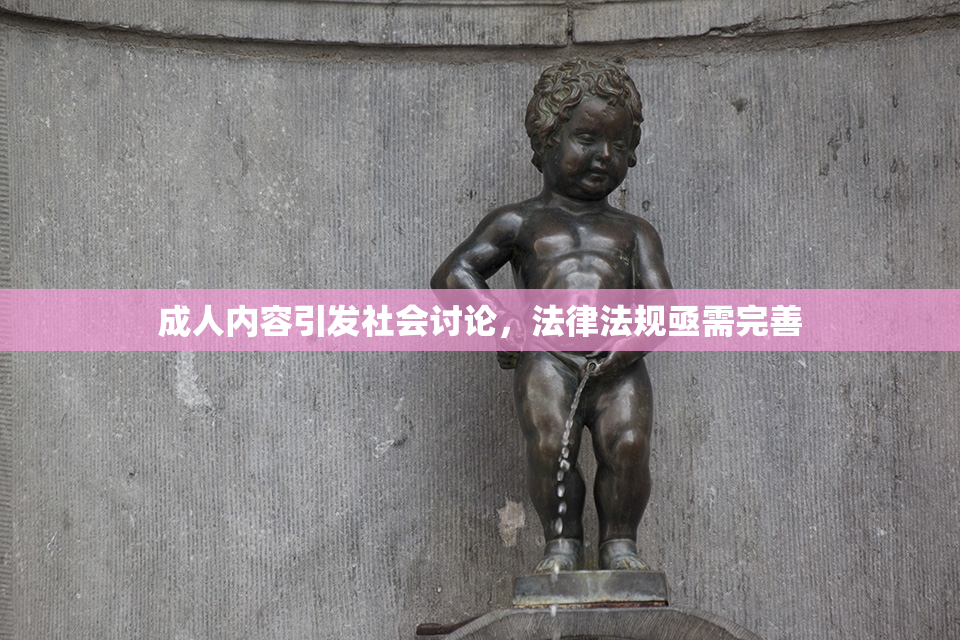 成人内容引发社会讨论，法律法规亟需完善