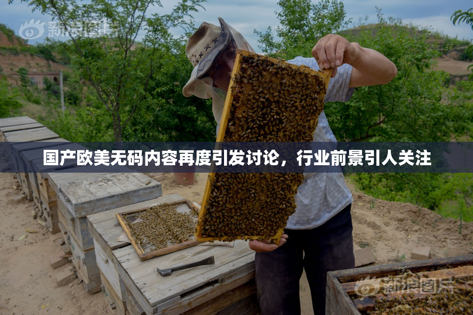 国产欧美无码内容再度引发讨论，行业前景引人关注