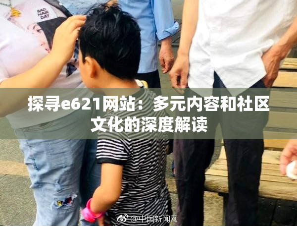 探寻e621网站：多元内容和社区文化的深度解读