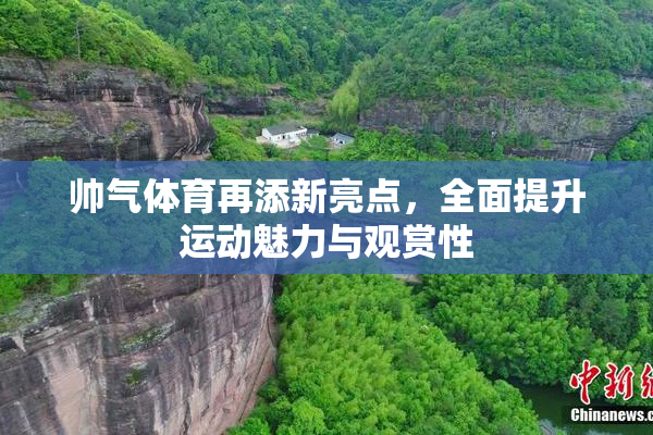 帅气体育再添新亮点，全面提升运动魅力与观赏性