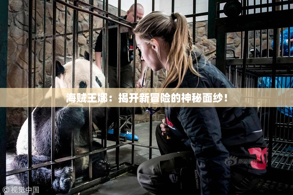 海贼王娜：揭开新冒险的神秘面纱！
