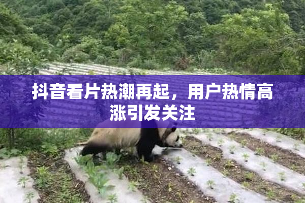 抖音看片热潮再起，用户热情高涨引发关注