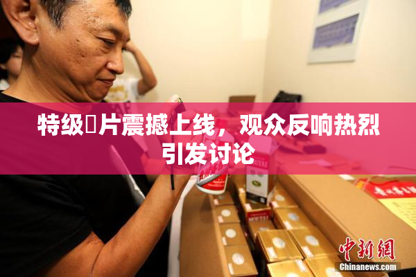 特级婬片震撼上线，观众反响热烈引发讨论