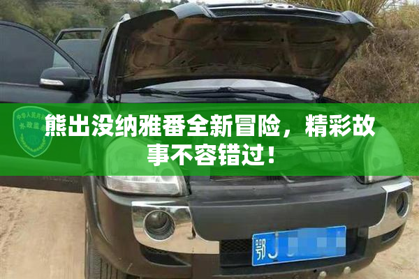 熊出没纳雅番全新冒险，精彩故事不容错过！