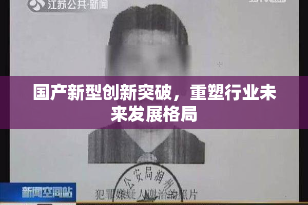 国产新型创新突破，重塑行业未来发展格局