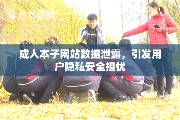 成人本子网站数据泄露，引发用户隐私安全担忧