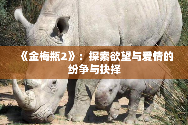 《金梅瓶2》：探索欲望与爱情的纷争与抉择