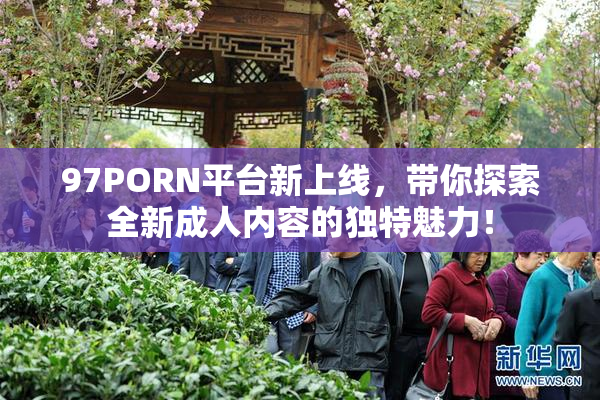 97PORN平台新上线，带你探索全新成人内容的独特魅力！