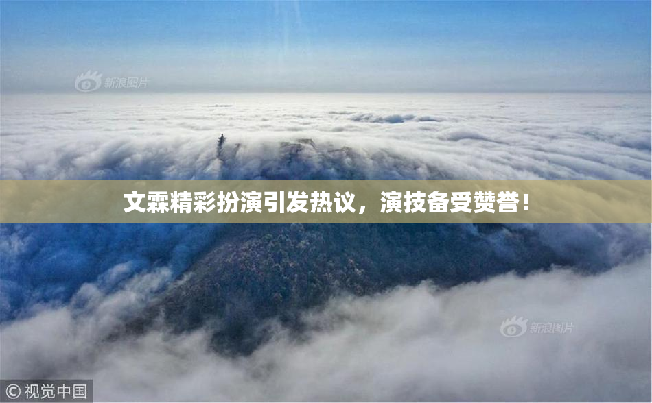 文霖精彩扮演引发热议，演技备受赞誉！