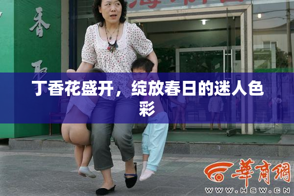 丁香花盛开，绽放春日的迷人色彩