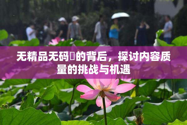 无精品无码囯的背后，探讨内容质量的挑战与机遇