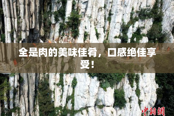 全是肉的美味佳肴，口感绝佳享受！