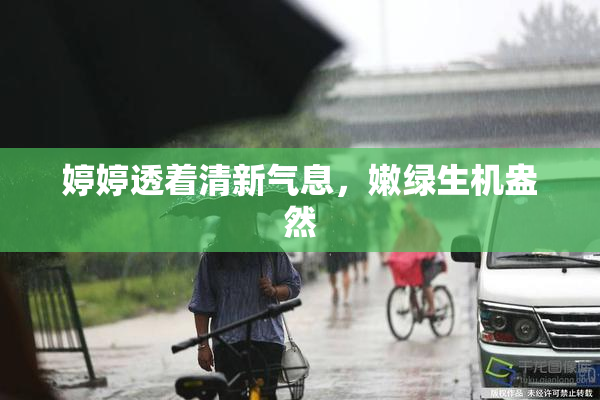 婷婷透着清新气息，嫩绿生机盎然