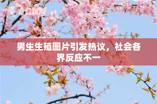 男生生殖图片引发热议，社会各界反应不一