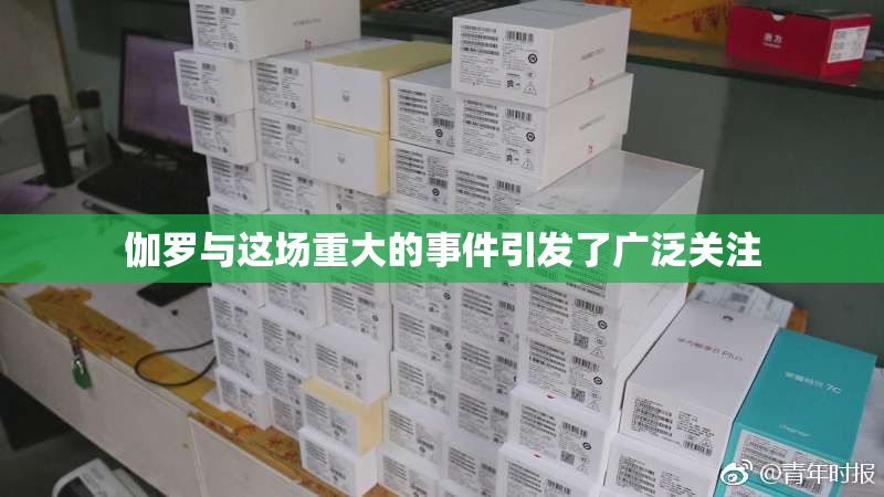 伽罗与这场重大的事件引发了广泛关注
