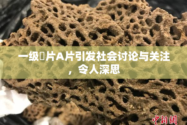 一级婬片A片引发社会讨论与关注，令人深思