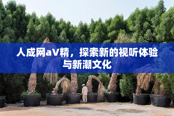 人成网aV精，探索新的视听体验与新潮文化