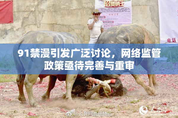 91禁漫引发广泛讨论，网络监管政策亟待完善与重审