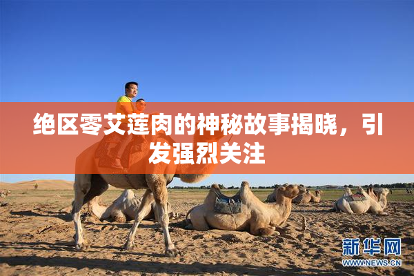 绝区零艾莲肉的神秘故事揭晓，引发强烈关注