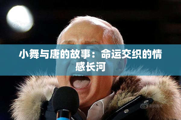 小舞与唐的故事：命运交织的情感长河