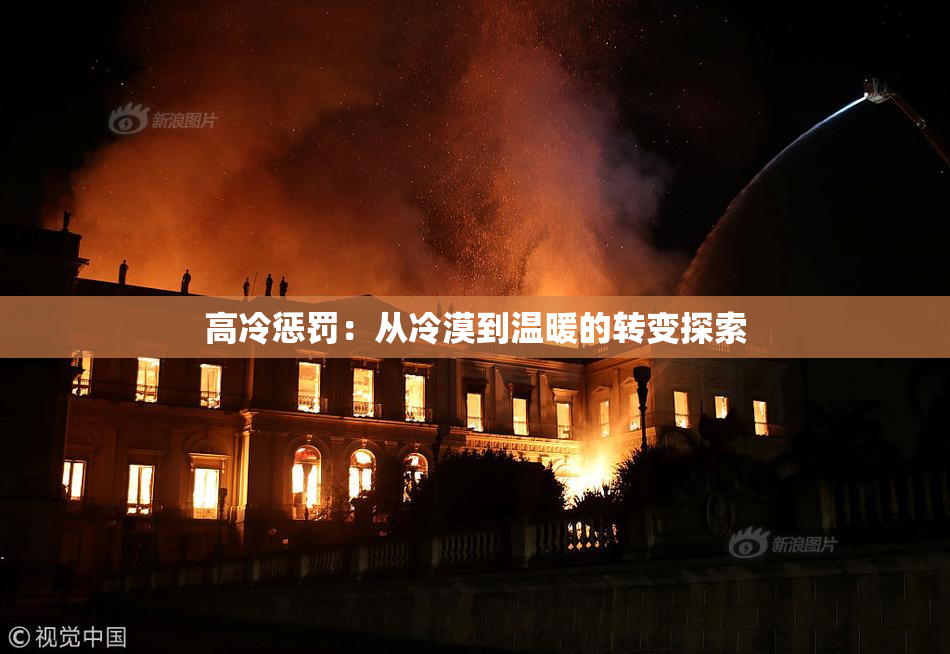 高冷惩罚：从冷漠到温暖的转变探索