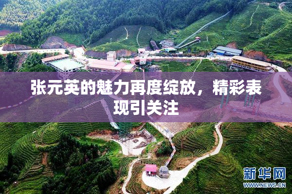 张元英的魅力再度绽放，精彩表现引关注