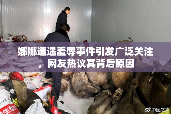 娜娜遭遇羞辱事件引发广泛关注，网友热议其背后原因