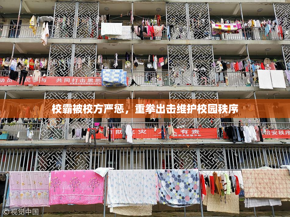 校霸被校方严惩，重拳出击维护校园秩序
