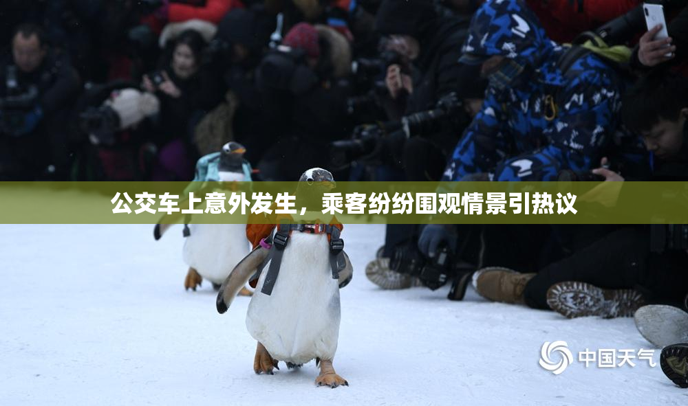 公交车上意外发生，乘客纷纷围观情景引热议