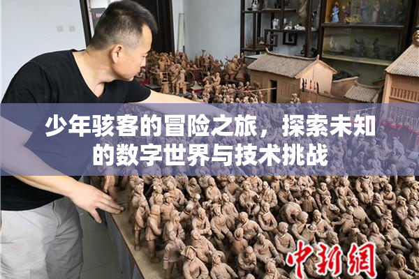 少年骇客的冒险之旅，探索未知的数字世界与技术挑战
