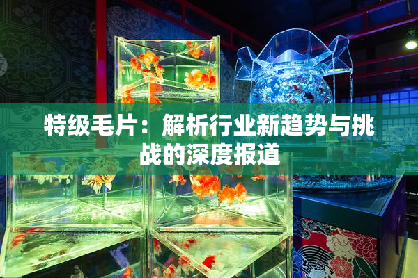 特级毛片：解析行业新趋势与挑战的深度报道