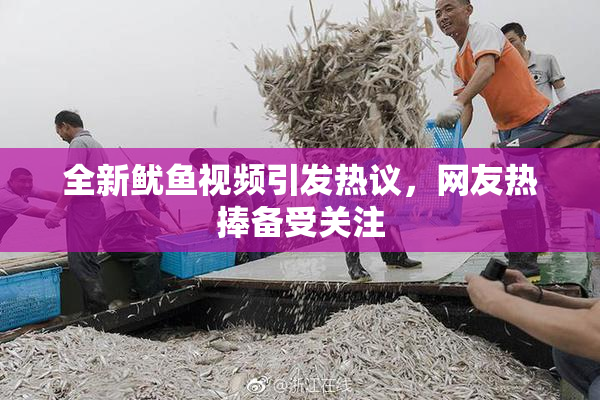 全新鱿鱼视频引发热议，网友热捧备受关注