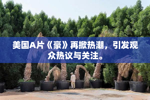 美国A片《豪》再掀热潮，引发观众热议与关注。